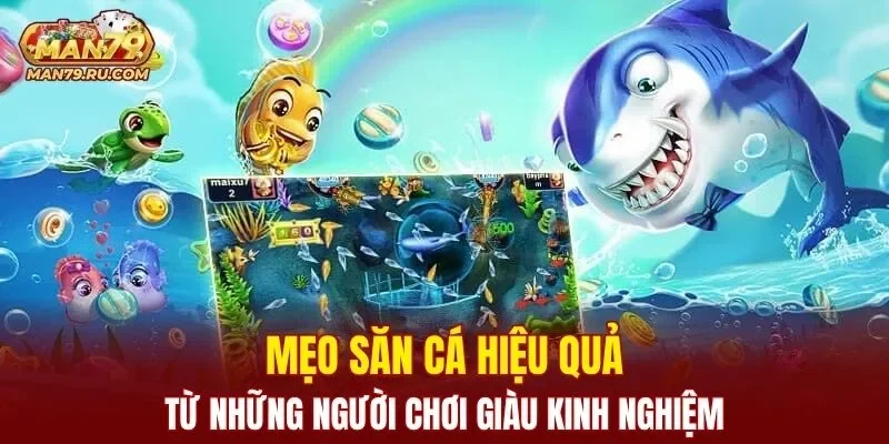 Chia sẻ mẹo săn cá hiệu quả từ người chơi kỳ cựu