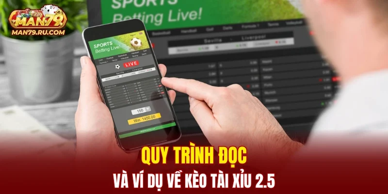 Quy trình đọc và ví dụ về kèo tài xỉu 2.5